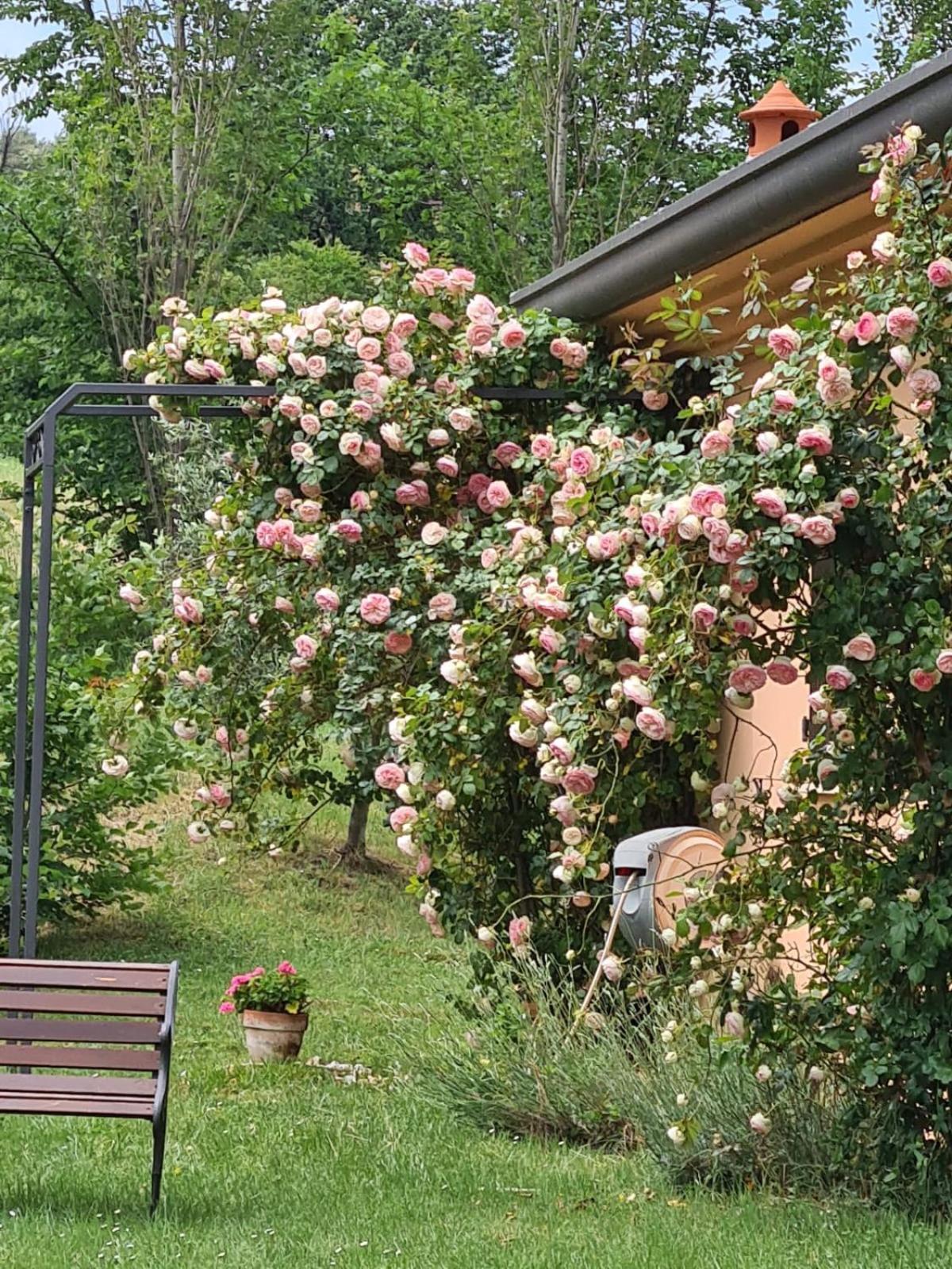 B&B Rosaverde Mulazzano Extérieur photo